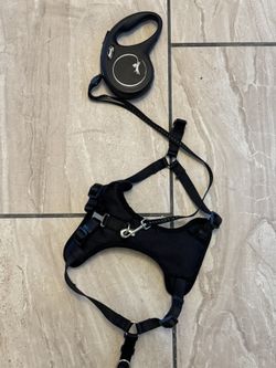 Small Dog Harness