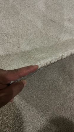 Carpet