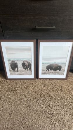 Target Buffalo prints set of 2