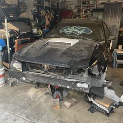 40th anniversary 2004 mustang gt