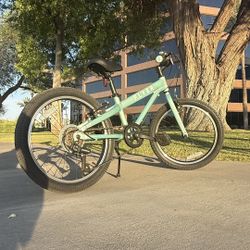 Flyer 20″ Kids’ Bike – Radio Flyer
