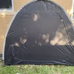 Carpa 