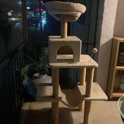 Cat Tower