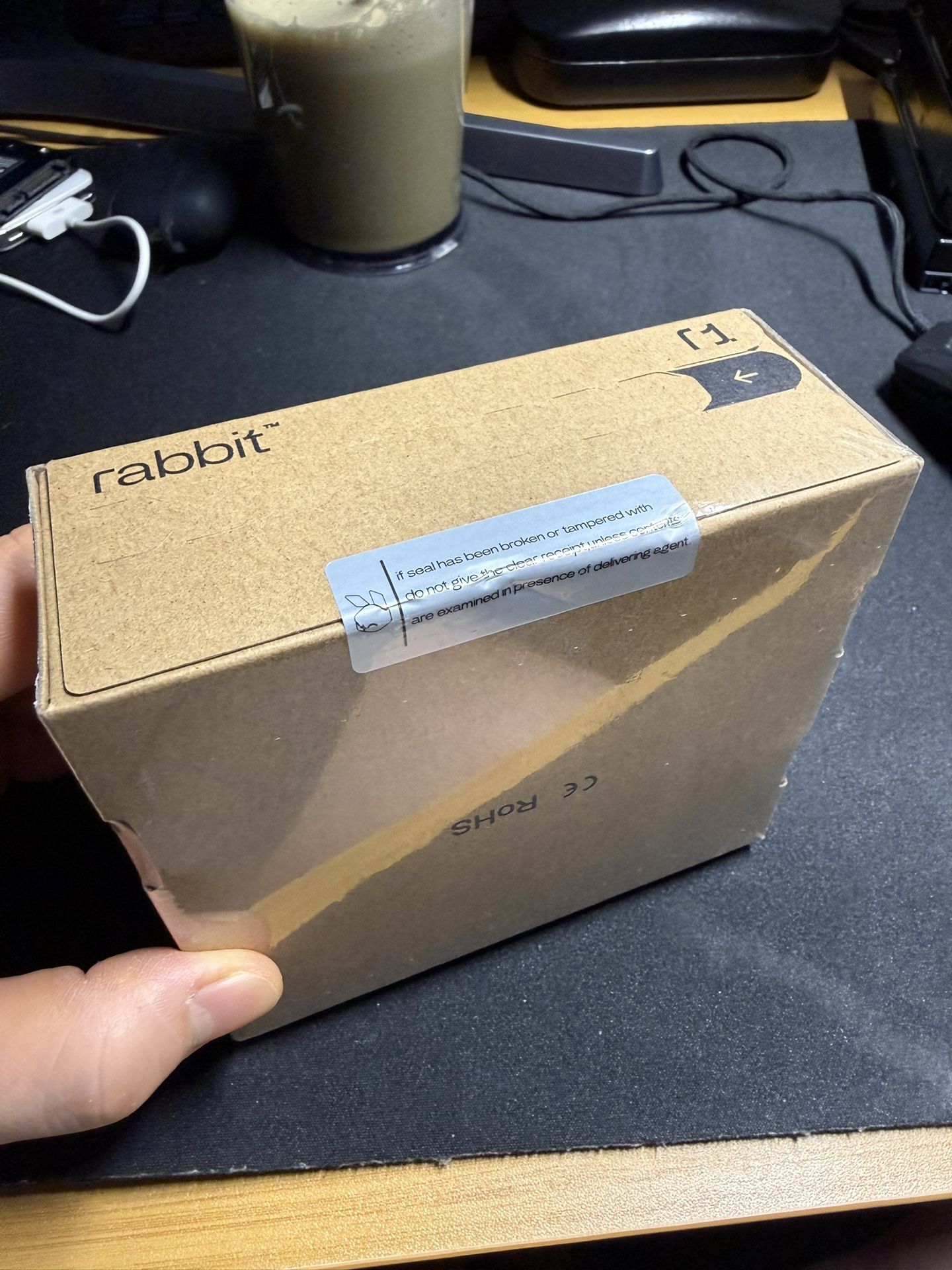 New Rabbit r1 Al Device