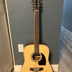 12 String Guitar 