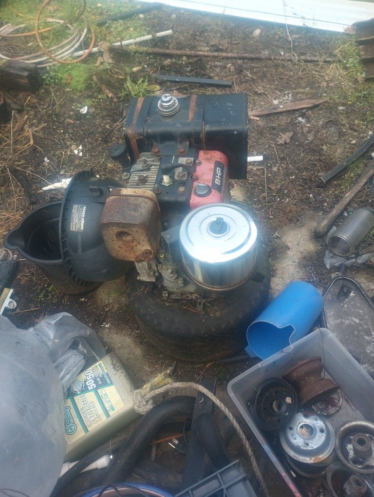 8 Horse Briggs & Stratton