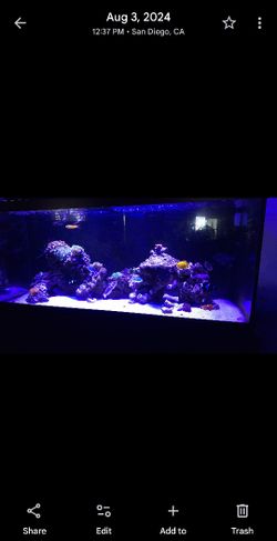 LIVE ROCK FOR A REEF TANK