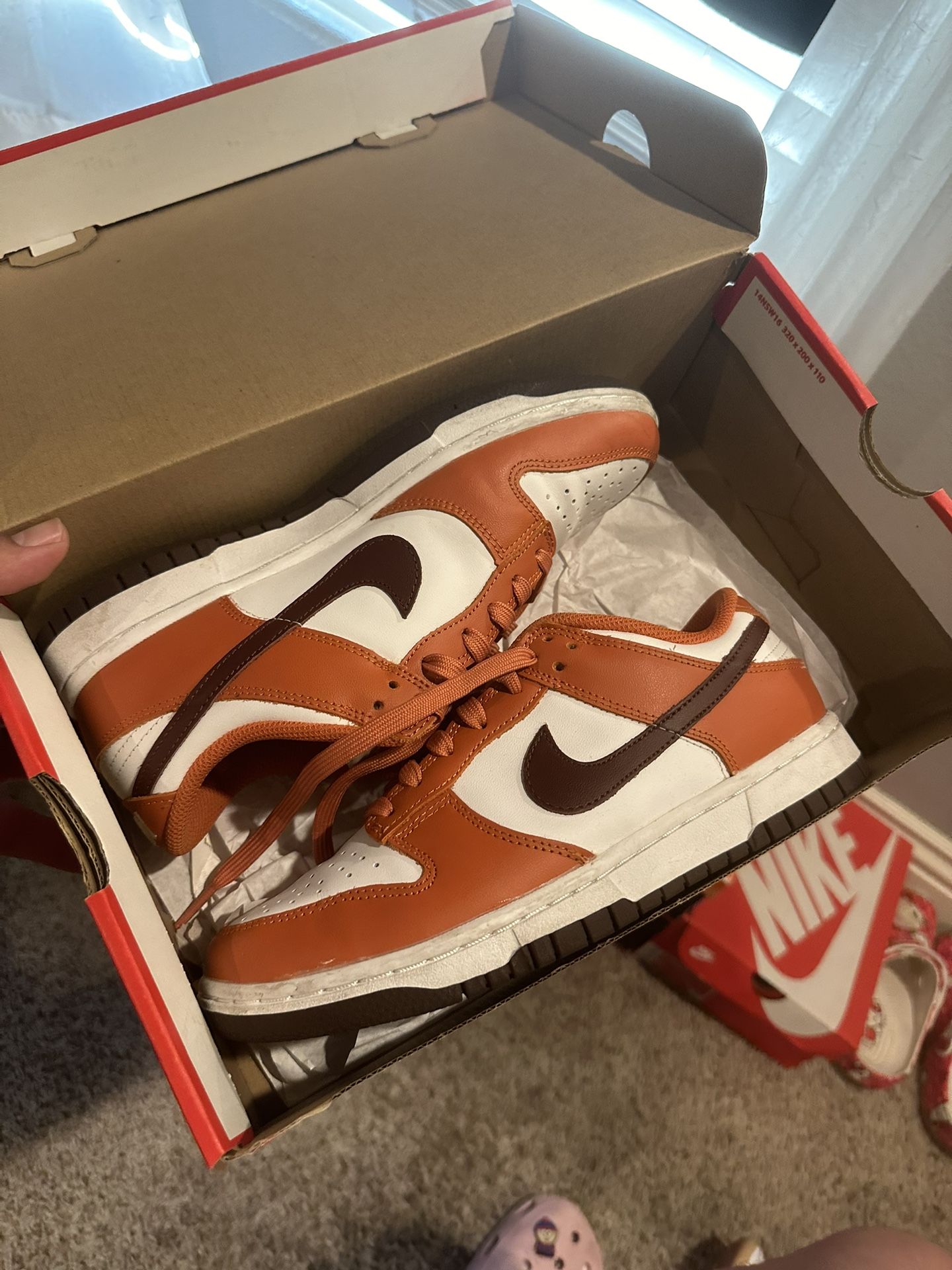 Nike Dunk Low Bronze Eclipse