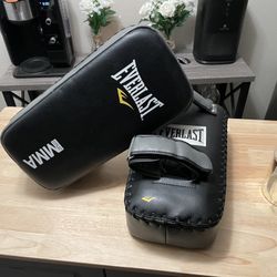 Everlast Thai Pads (Pair)