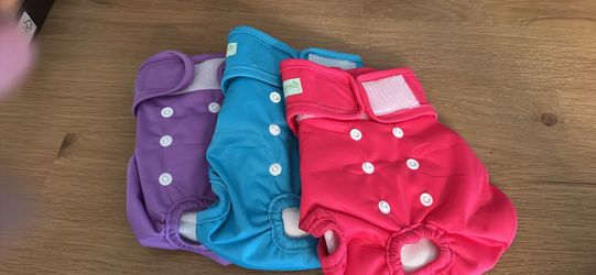 Dog Diapers