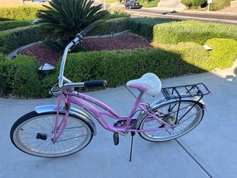 Schwinn cruiser