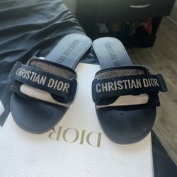 Dior Evolution slides