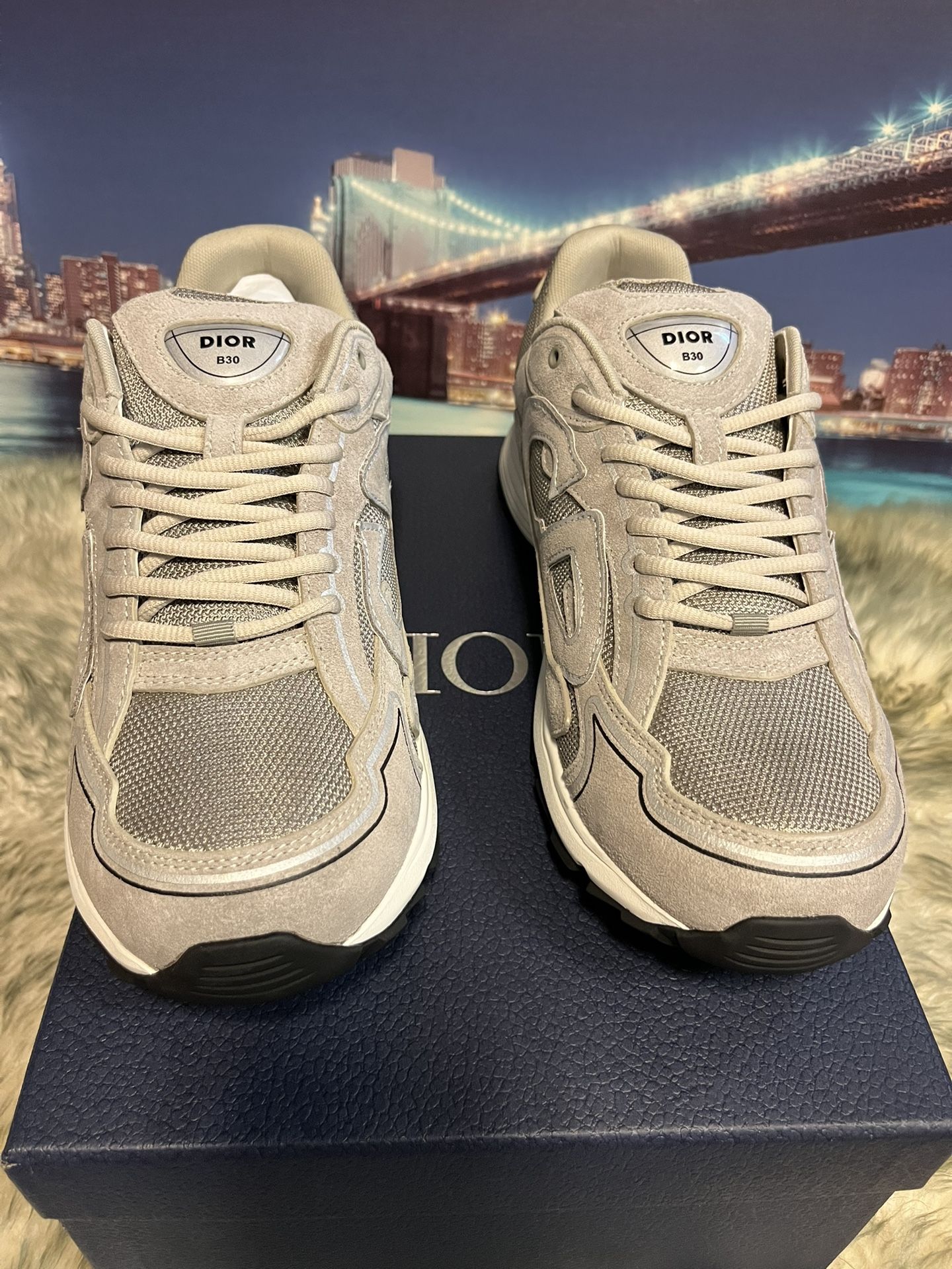 Dior B30 Sneakers