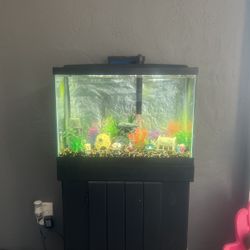 Fish Tank 