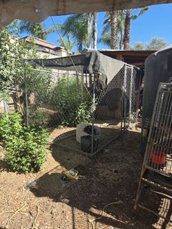Dog cage