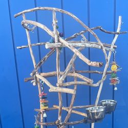 Parrot Perch Tree.,,, Custom Made …. A Great Socializer!! Hard Durable Ribbon Wood, Lasts For Years ! 👍🏼💯