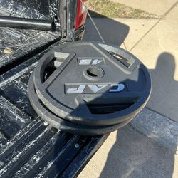 Pair Of 45lbs Weights 