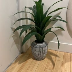 Beautiful Fake Plant