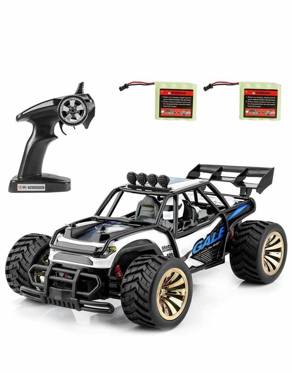 distianert 1: 16 Scale Electric RC Car on & Off Road RTR Vehicle 2.4Ghz