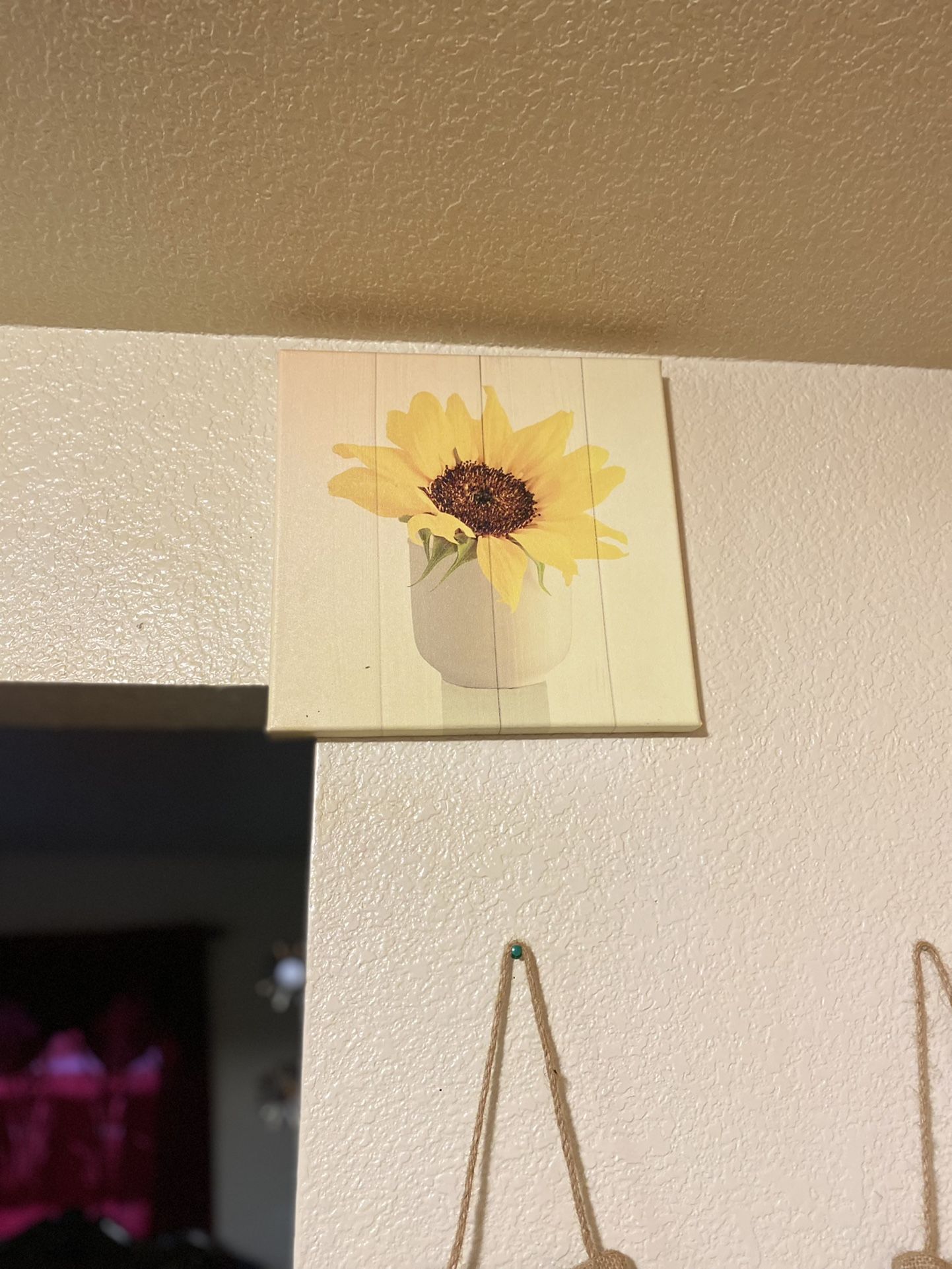 Wall Hangers Sunflower