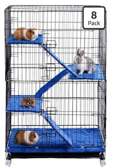 Ferret house, 3 levels