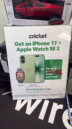 Cricket