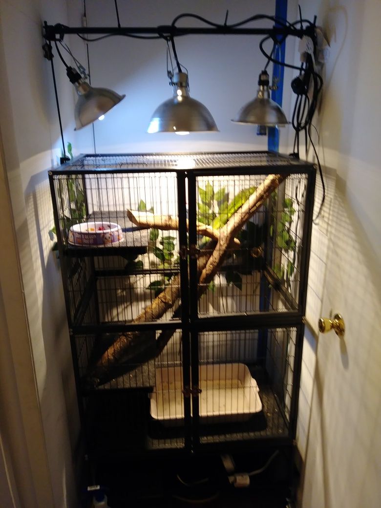 Ferret/Parrot/Iguana cage for sale for Sale in Kernersville, NC OfferUp