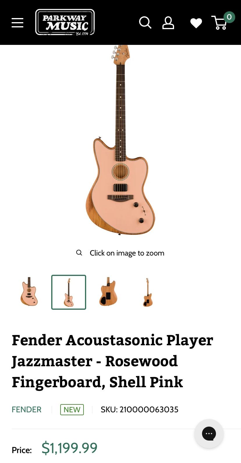Fender Guitar