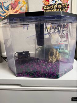 Fish Tank with Supplies