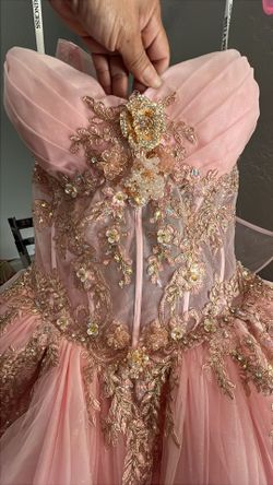 Pink Quinceañera dress 2XL