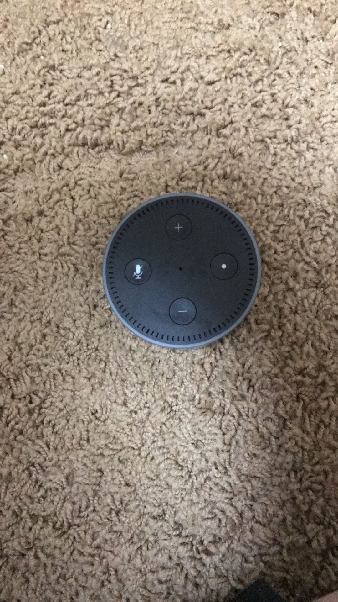 Amazon Echo Dot