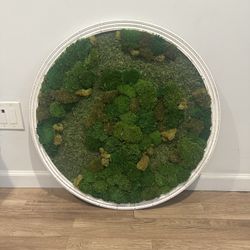 Moss Wall Art 30” $250 OBO