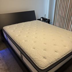 Wayfair Mattress White Queen Sze