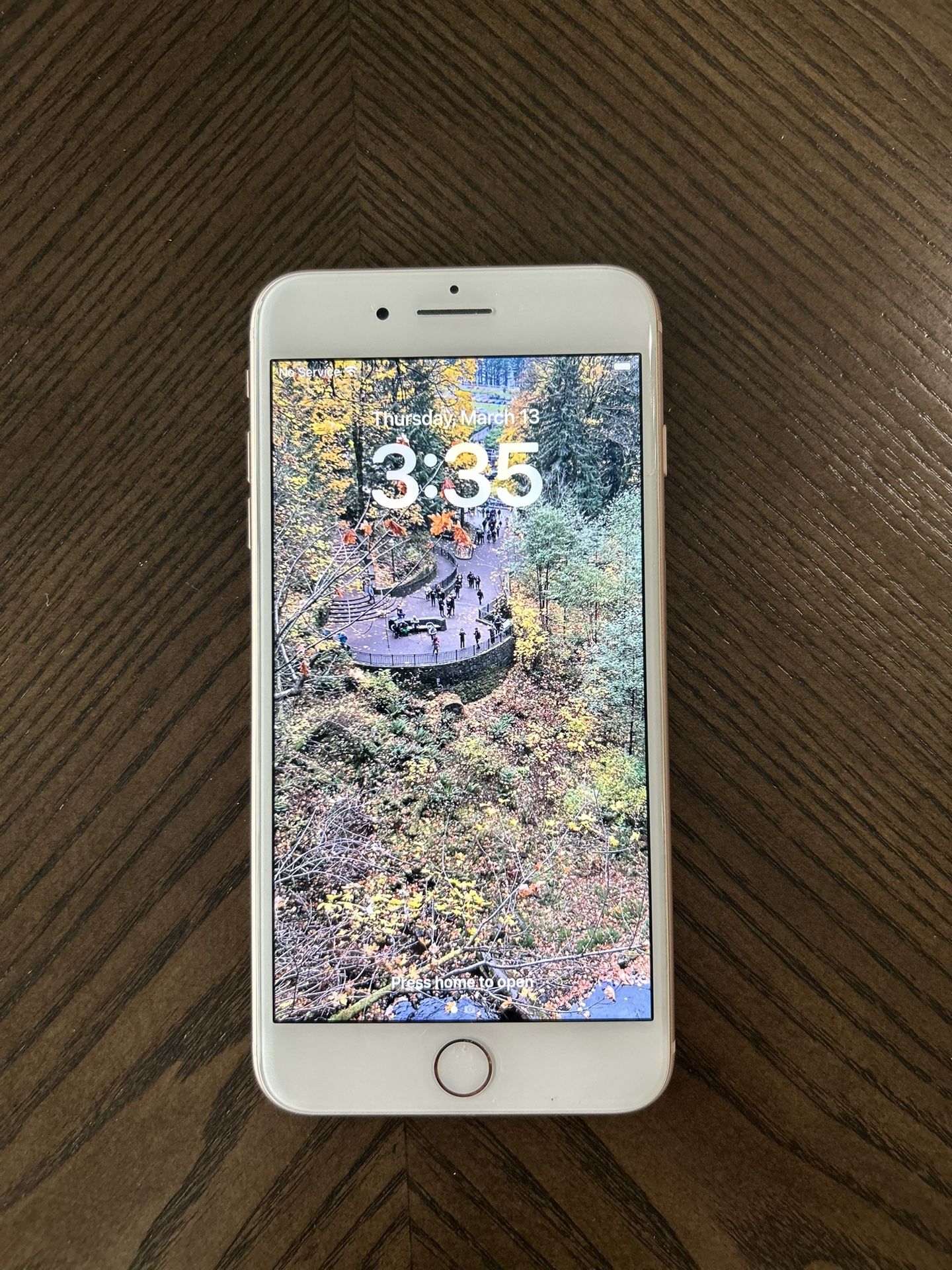 iPhone 8plus