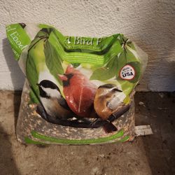 Free Bird Seed (about 20 lbs)