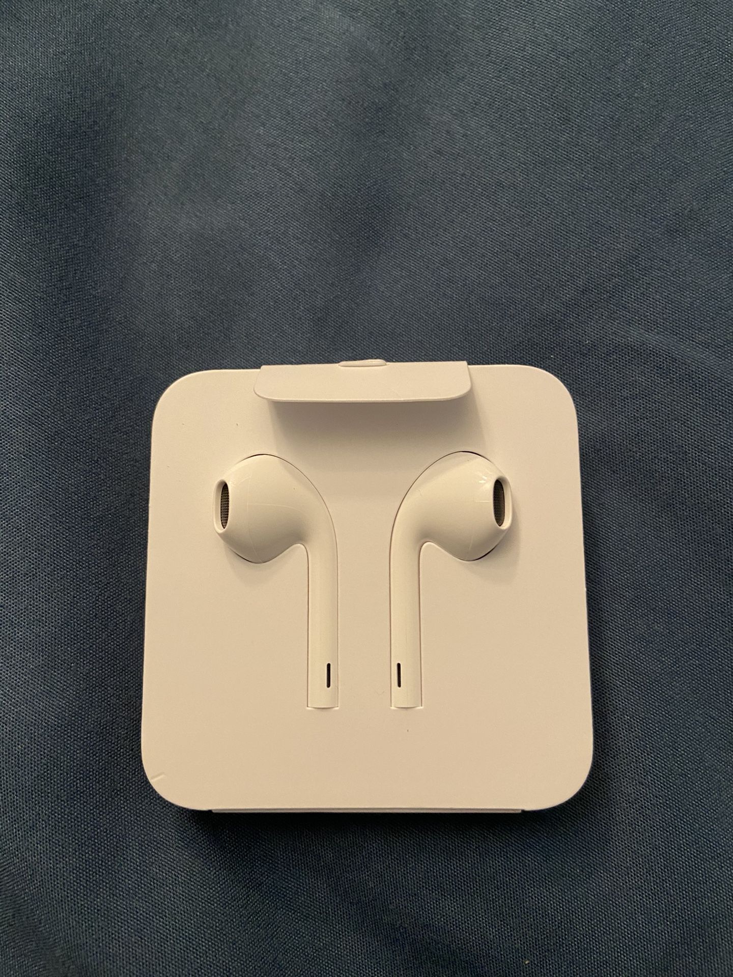 Apple earphones