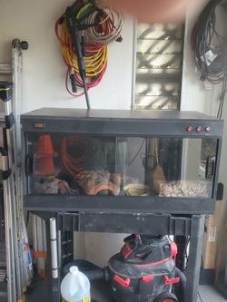 Reptile cage