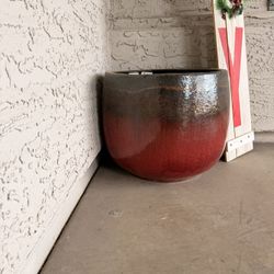 Various Plant/Flower pots 