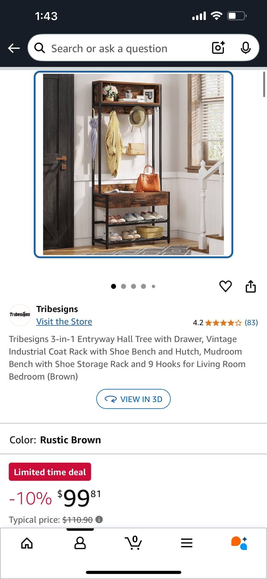 Entry Way Coat Rack & Organizer
