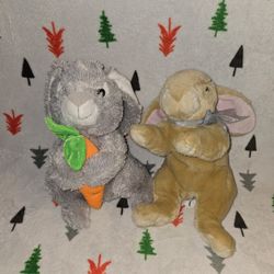 Two Rabbit Stuffed Animals