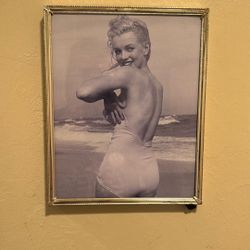Vintage Monroe Framed Picture