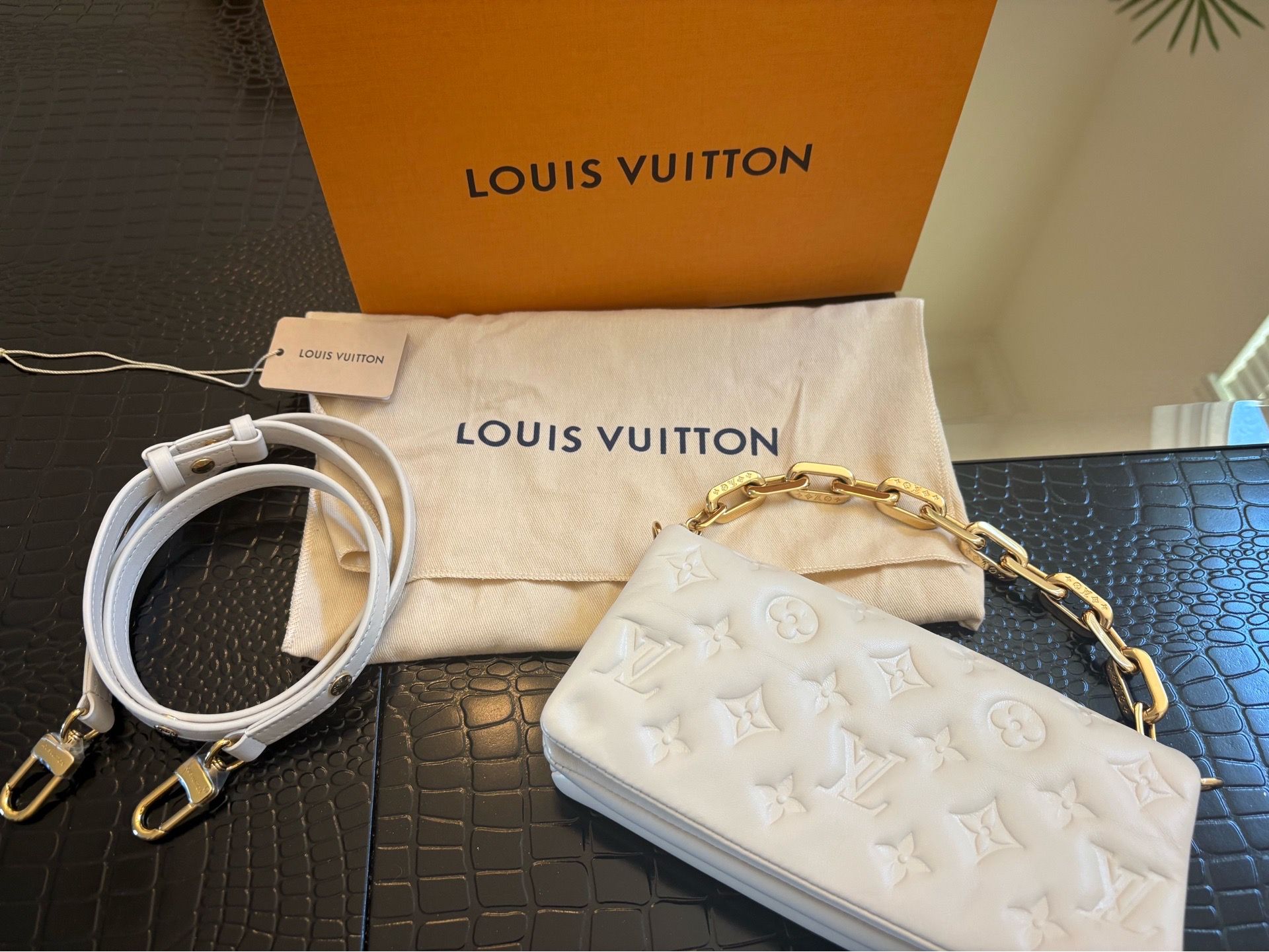 Louis Vuitton Pochette Coussin