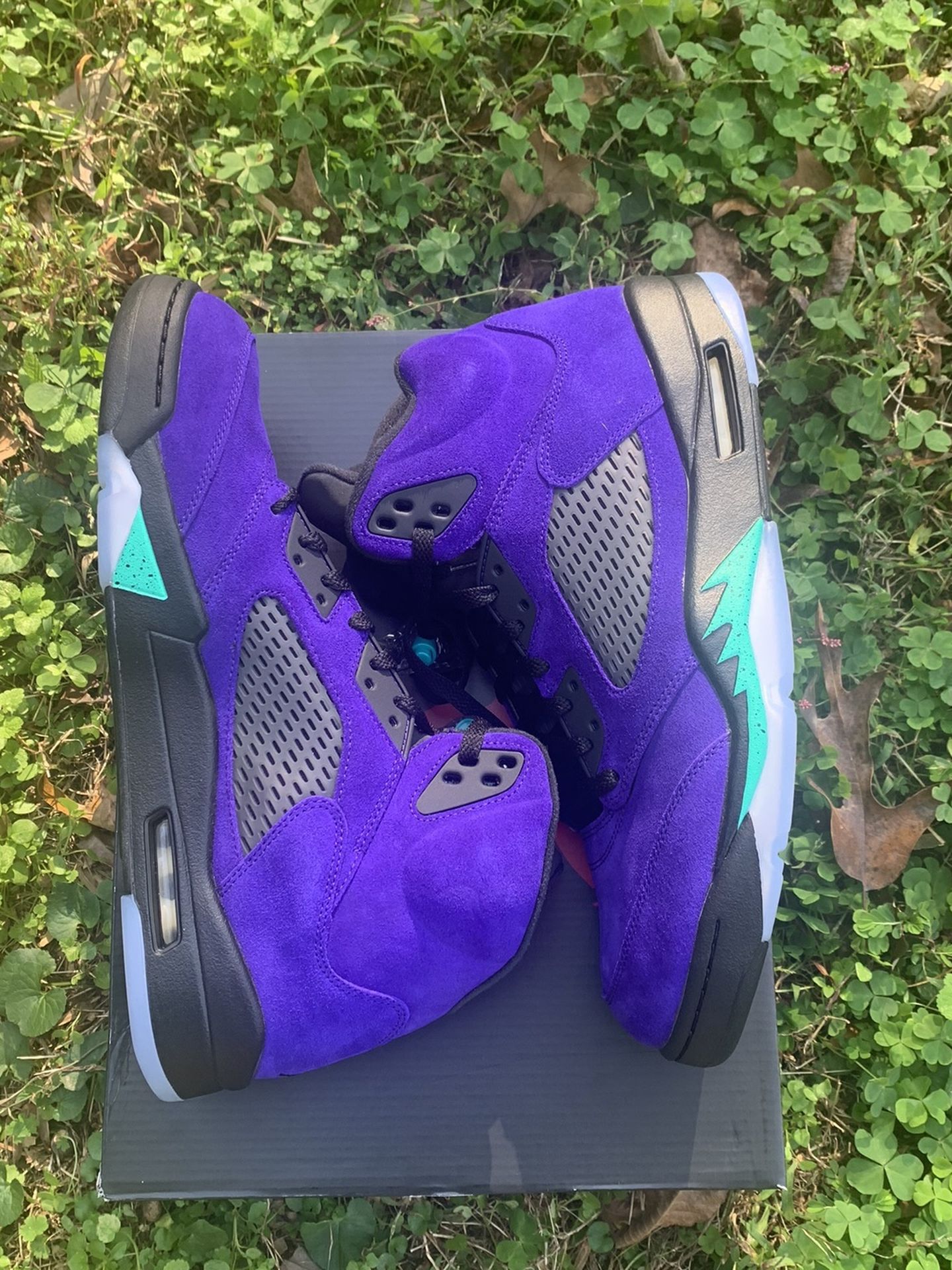 Jordan Altenrate Grape 5 US Size 12.5