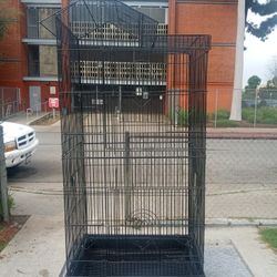 Bird Cage  38"