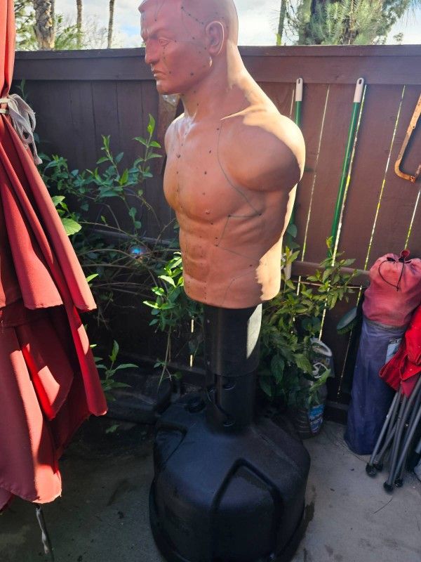 Century BOB Punching Bags for Sale in Corona, CA OfferUp