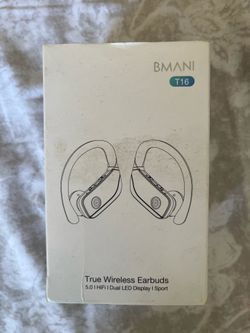 Earphones