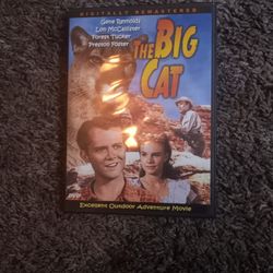 Dvd The Big Cat