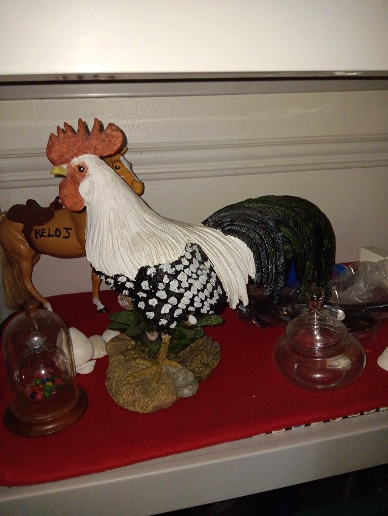 Rooster