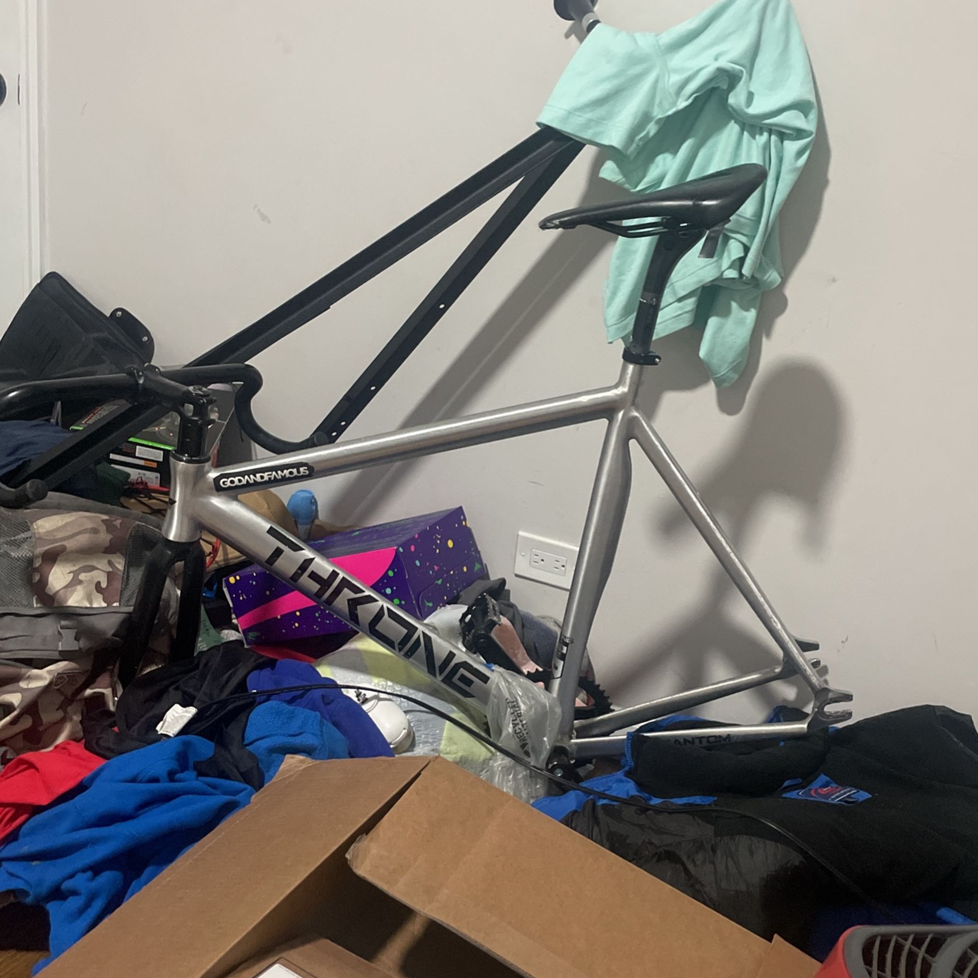 Thorne Frameset READ DESCRIPTION ❗️❗️