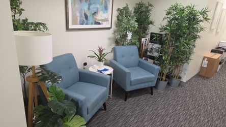 Set of 2 Blue Mid-Century Modern Accent Chairs
